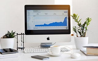 皖皖裴擒虎肉虎下山先收王昭君，狼队逐个击破打出一换四